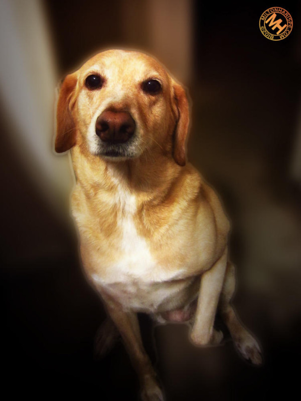 IMG_0487 copy Miranda.jpg